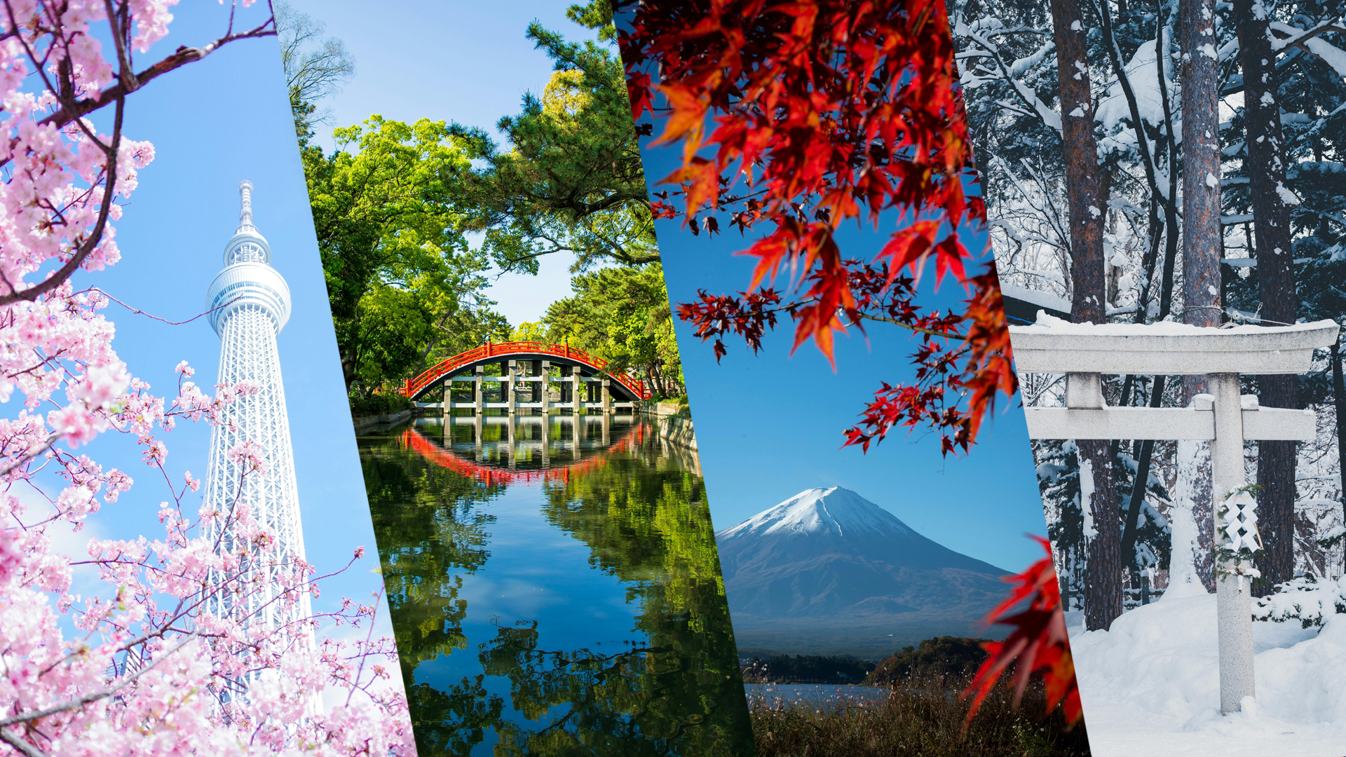 Japanreise: Wann ist die beste Reisezeit?